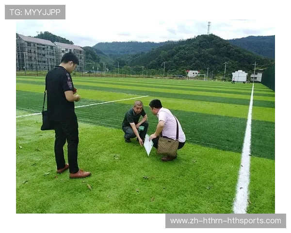 足球费米子分布模型如何帮助分析足球场上球员的空间布局